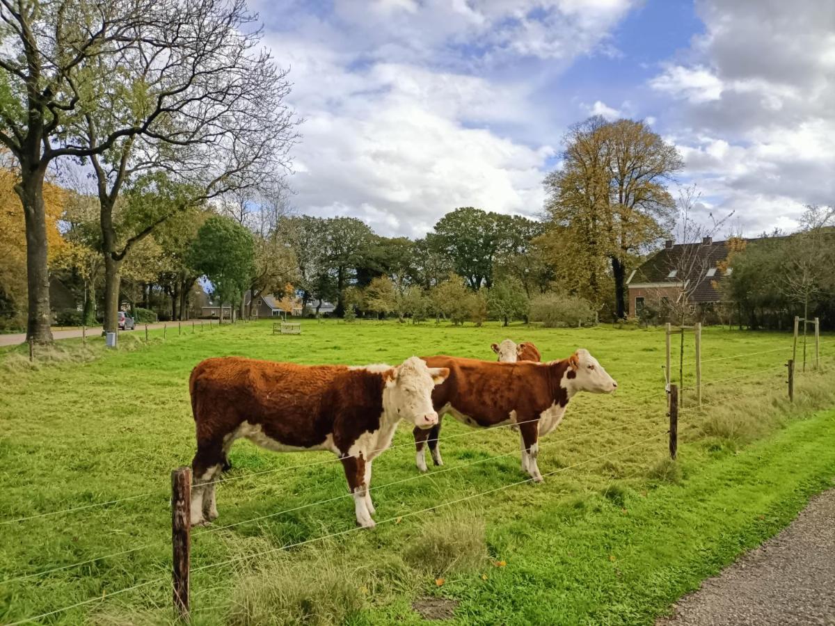 De Lindenhoeve Valthe Buitenkant foto
